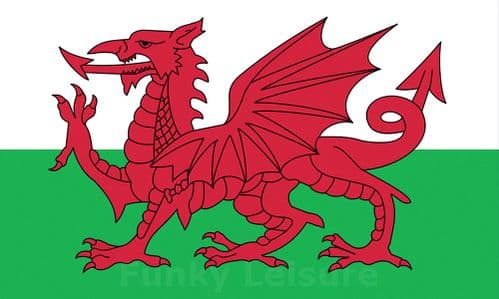 The Welsh Dragon - Y Ddraig Goch