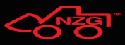 Nzg Model Buses